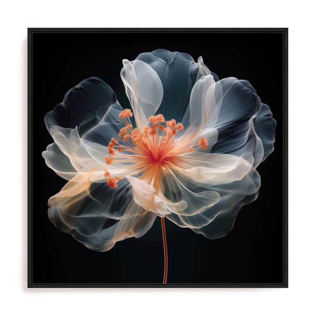 Black Pink Translucent Flower II Wall Art
