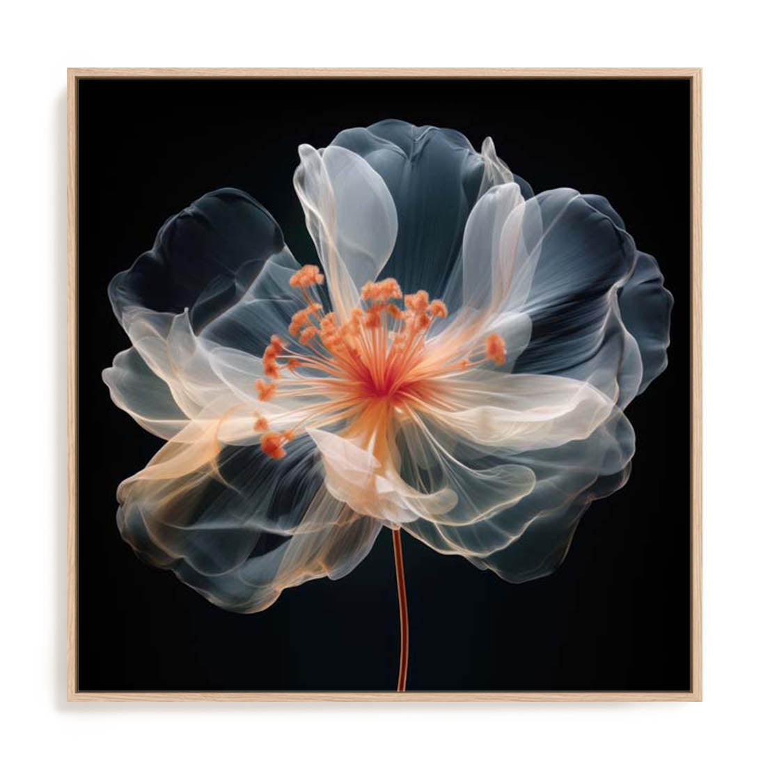 Black Pink Translucent Flower II Wall Art