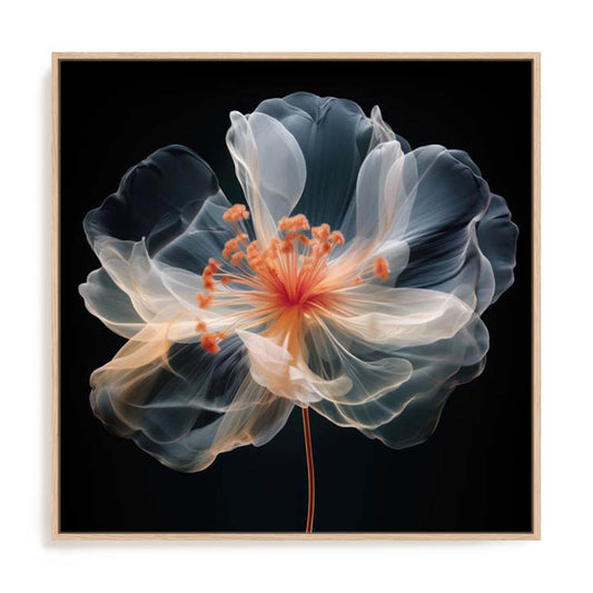Black Pink Translucent Flower II Wall Art