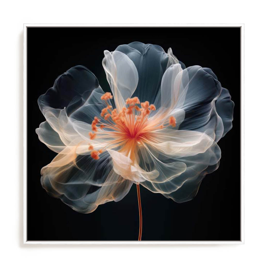 Black Pink Translucent Flower II Wall Art