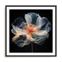 Black Pink Translucent Flower II Wall Art