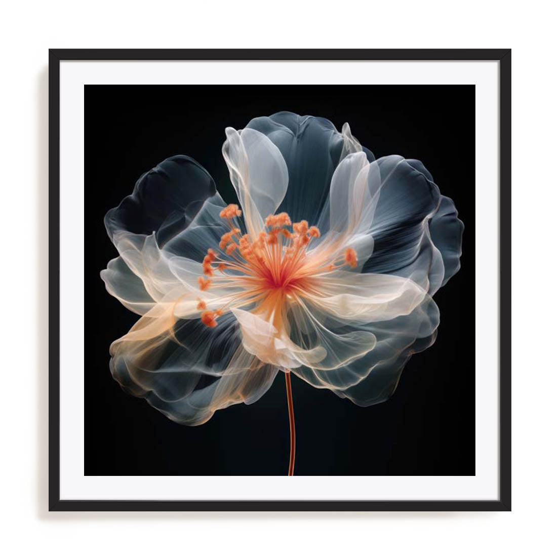 Black Pink Translucent Flower II Wall Art
