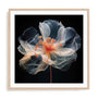 Black Pink Translucent Flower II Wall Art
