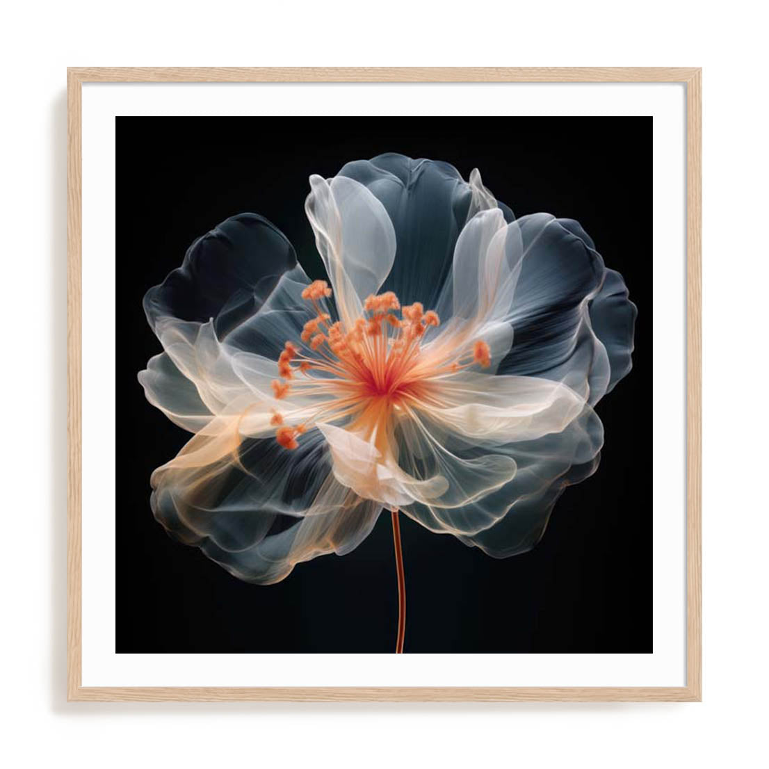 Black Pink Translucent Flower II Wall Art