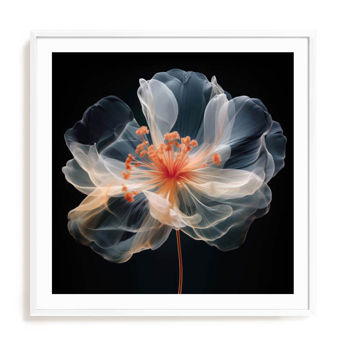 Black Pink Translucent Flower II Wall Art