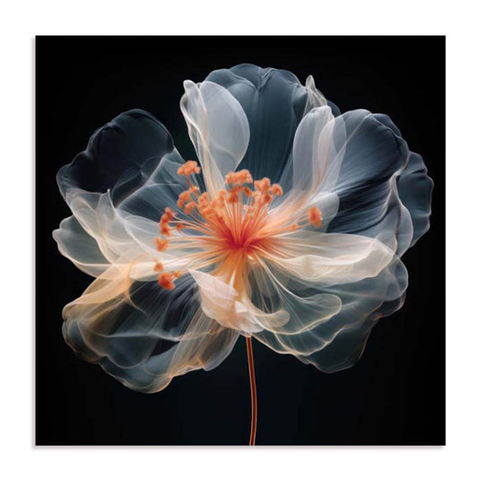 Black Pink Translucent Flower II Wall Art