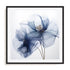 Translucent Blue Poppy Flowers I Wall Art #oran_black-white-border