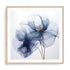 Translucent Blue Poppy Flowers I Wall Art #oran_natural-white-border