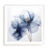 Translucent Blue Poppy Flowers I Wall Art #oran_white-white-border