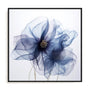 Translucent Blue Poppy Flowers II Wall Art