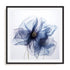 Translucent Blue Poppy Flowers II Wall Art #oran_black-white-border