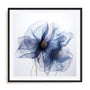 Translucent Blue Poppy Flowers II Wall Art