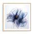 Translucent Blue Poppy Flowers II Wall Art #oran_natural-white-border