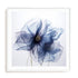 Translucent Blue Poppy Flowers II Wall Art #oran_white-white-border
