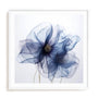 Translucent Blue Poppy Flowers II Wall Art