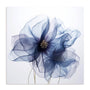 Translucent Blue Poppy Flowers II Wall Art