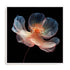Whispering Luminiscence I Wall Art