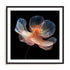 Whispering Luminiscence I Wall Art #oran_black-white-border