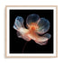 Whispering Luminiscence I Wall Art #oran_natural-white-border