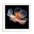 Whispering Luminiscence I Wall Art #oran_white-white-border