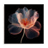 Whispering Luminiscence II Wall Art