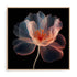 Whispering Luminiscence II Wall Art