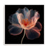 Whispering Luminiscence II Wall Art