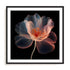 Whispering Luminiscence II Wall Art #oran_black-white-border
