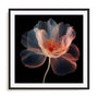 Whispering Luminiscence II Wall Art