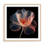 Whispering Luminiscence II Wall Art
