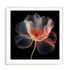 Whispering Luminiscence II Wall Art #oran_white-white-border