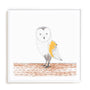 Playful Animals III Wall Art