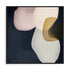 Veiled Visions II Wall Art