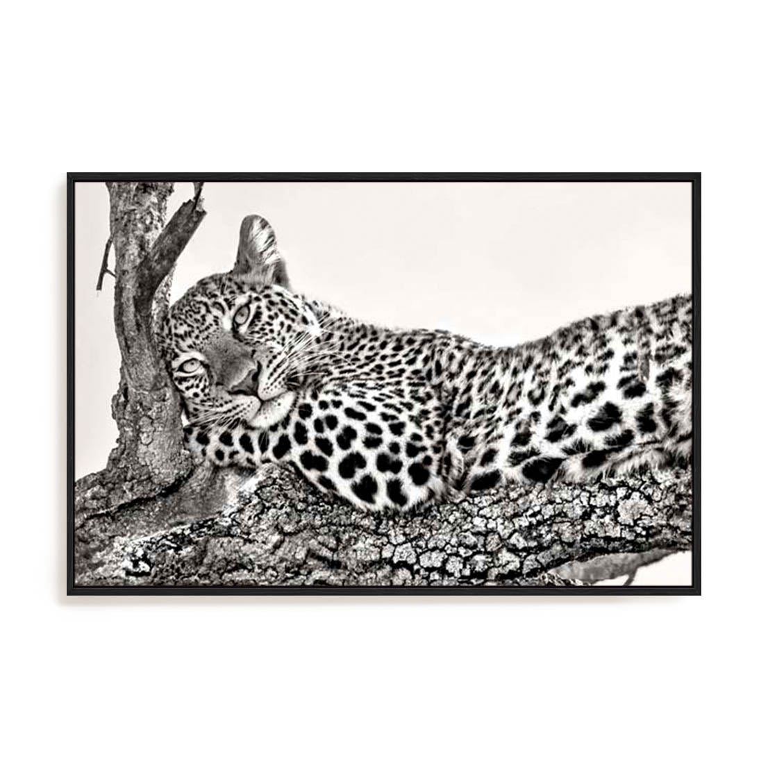 Ortega Time To Rest Wall Art