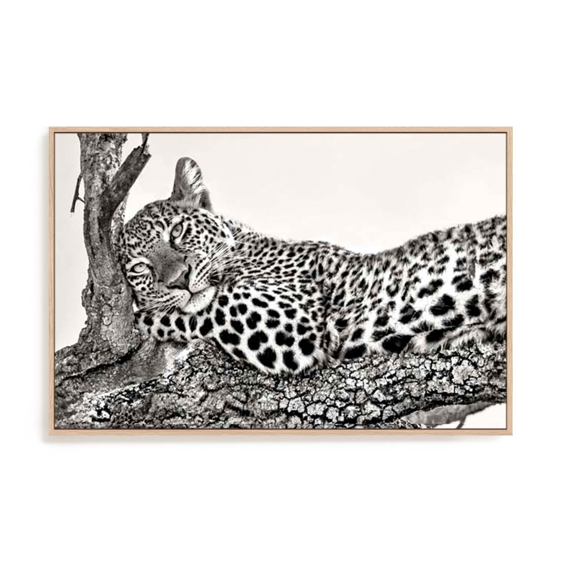 Ortega Time To Rest Wall Art