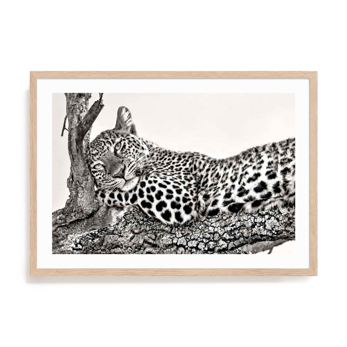 Ortega Time To Rest Wall Art