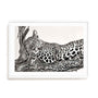 Ortega Time To Rest Wall Art