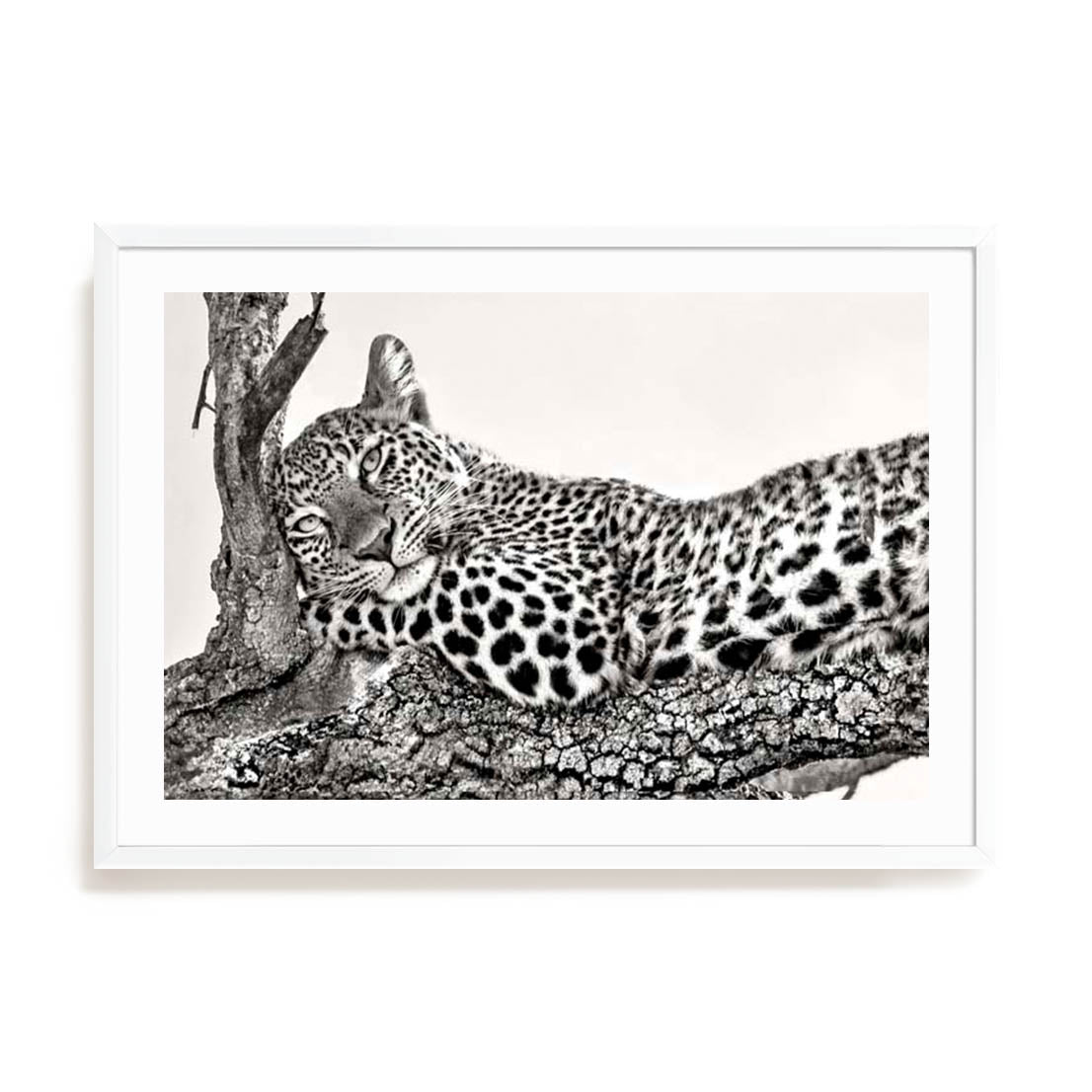Ortega Time To Rest Wall Art