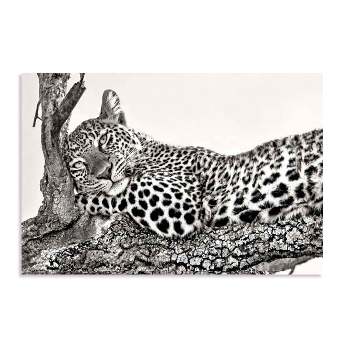 Ortega Time To Rest Wall Art