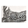 Ortega Time To Rest Wall Art