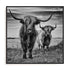 Pecqueux Highlands Wall Art
