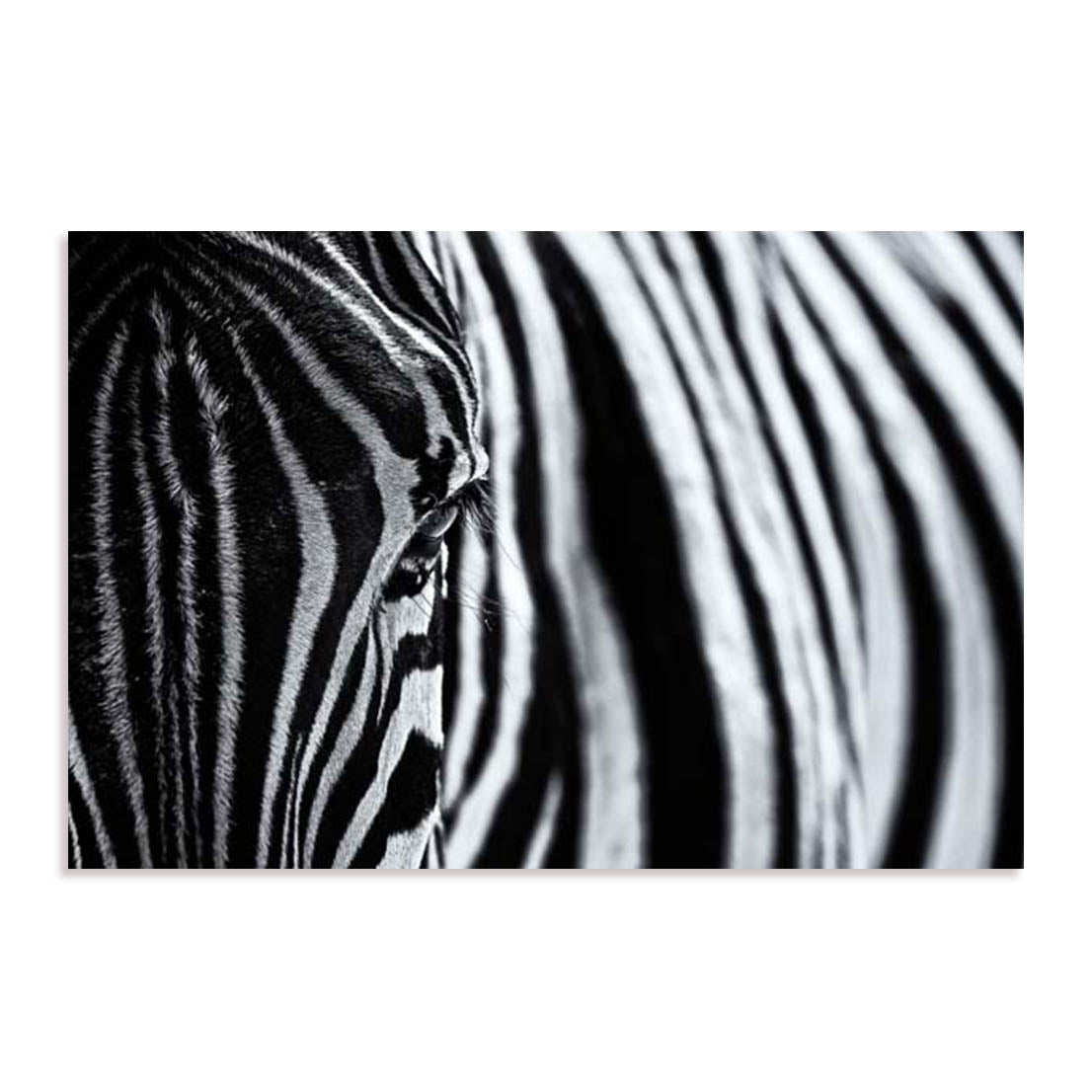 Tagliarino Wall Art
