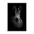 Zebra Ed Wall Art