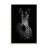 Zebra Ed Wall Art