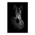 Zebra Ed Wall Art