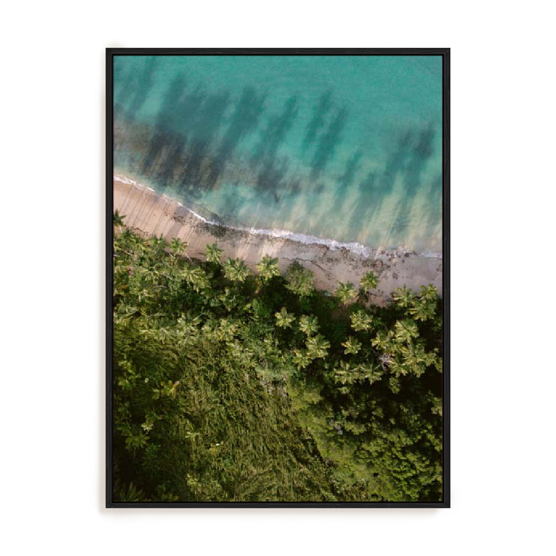 Zwart – Palm Beach From Above Wall Art