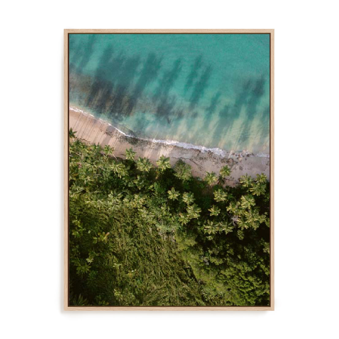 Zwart – Palm Beach From Above Wall Art
