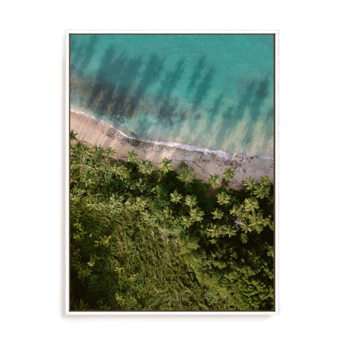 Zwart – Palm Beach From Above Wall Art