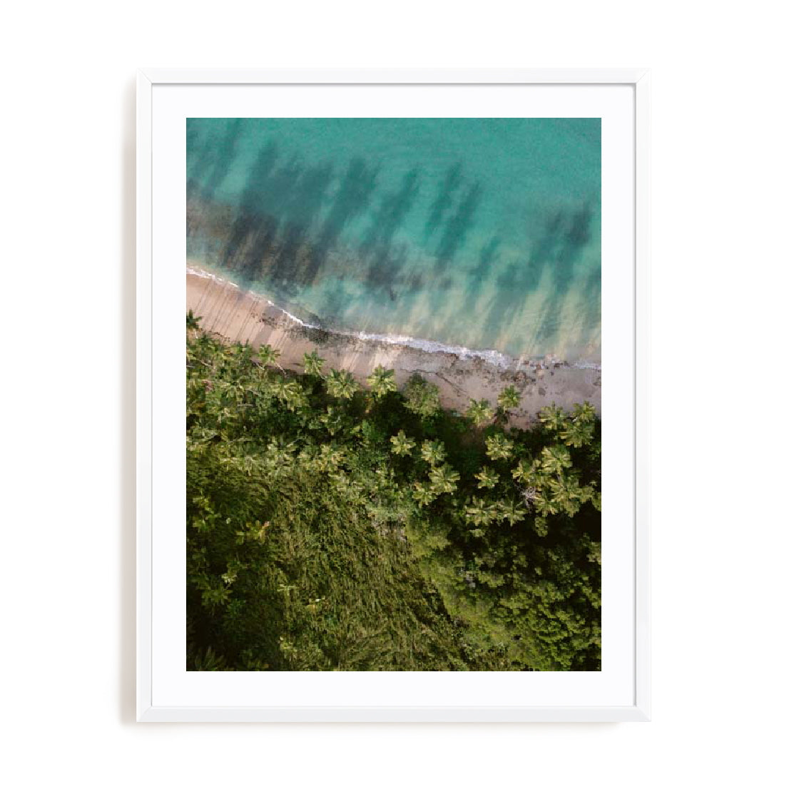 Zwart – Palm Beach From Above Wall Art