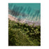 Zwart – Palm Beach From Above Wall Art